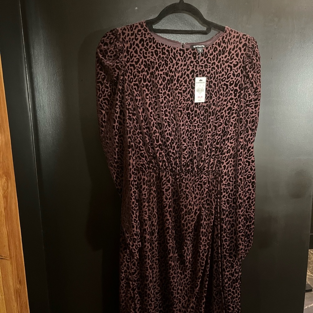 Express Animal Print Long Sleeve Dress